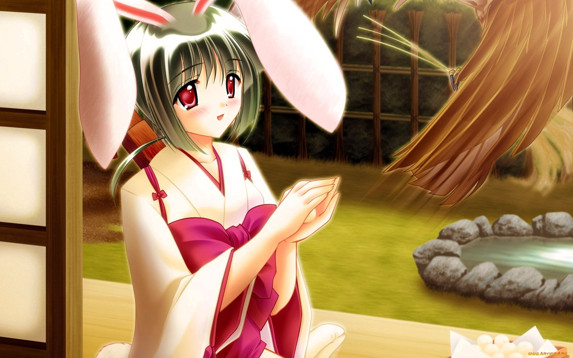 seishun buta yaro wa bunny, , seishun buta yarou wa bunny girl senpai no yume wo minai, , , 